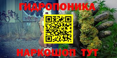 прущие грибы Среднеуральск