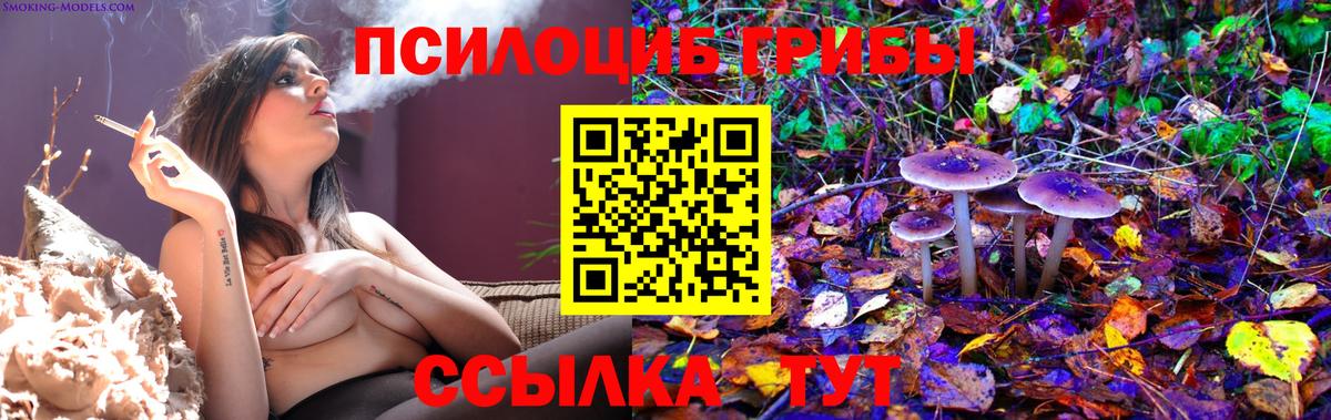 Богородицк  Галлюциногенные грибы Psilocybine cubensis  как найти наркотики  Вход с VPN  Псилоцибиновые грибы мухоморы 